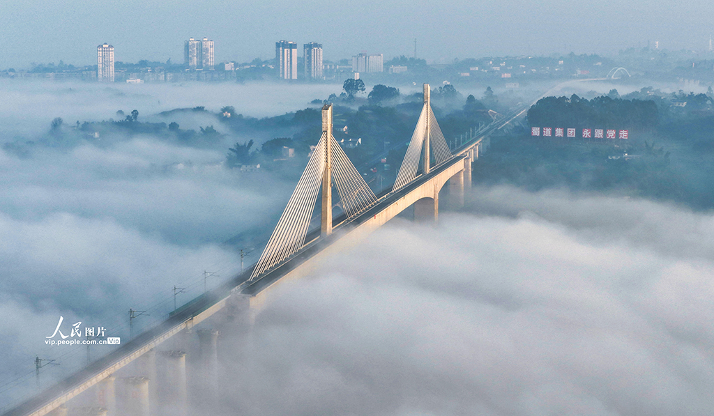 四川泸州：晨雾迷漫宛如“天空之城”【8】