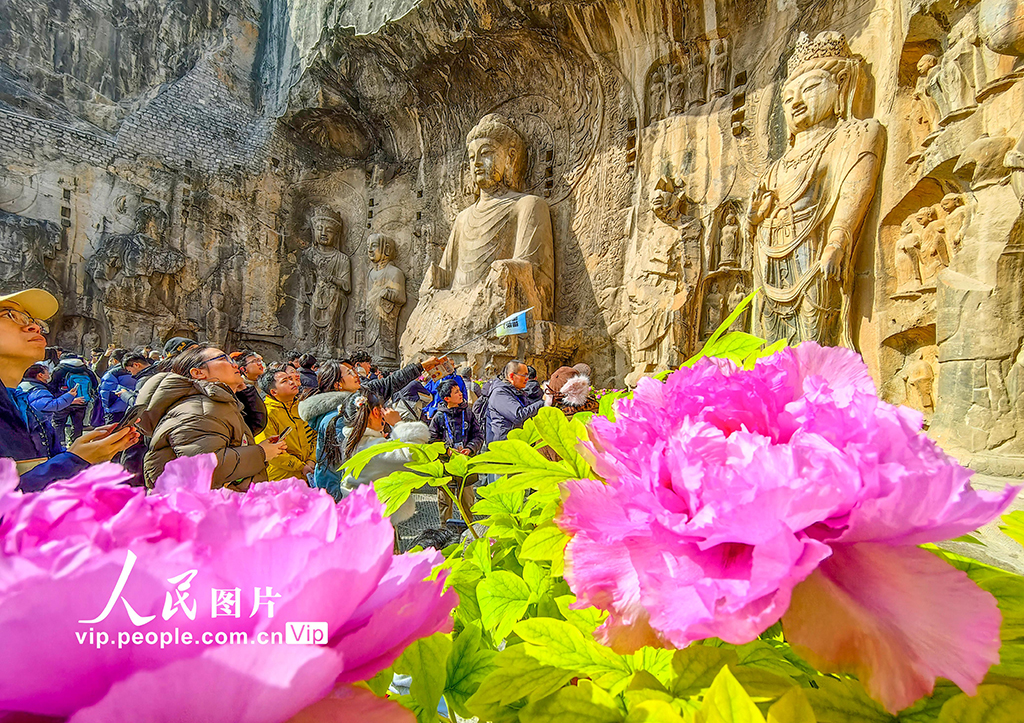 河南洛阳：龙门石窟景区迎来旅游高峰【2】