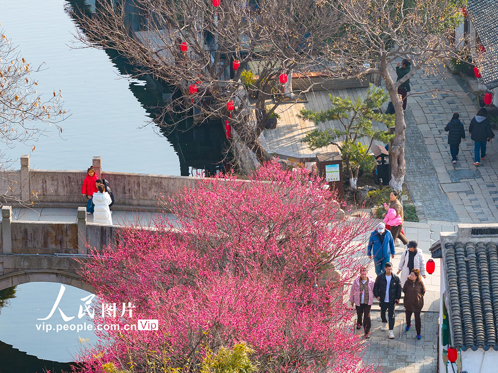 江苏昆山：歇马桥古村春韵【4】