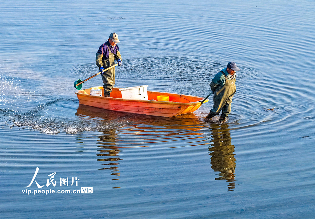 安徽芜湖：虾塘管护忙【4】