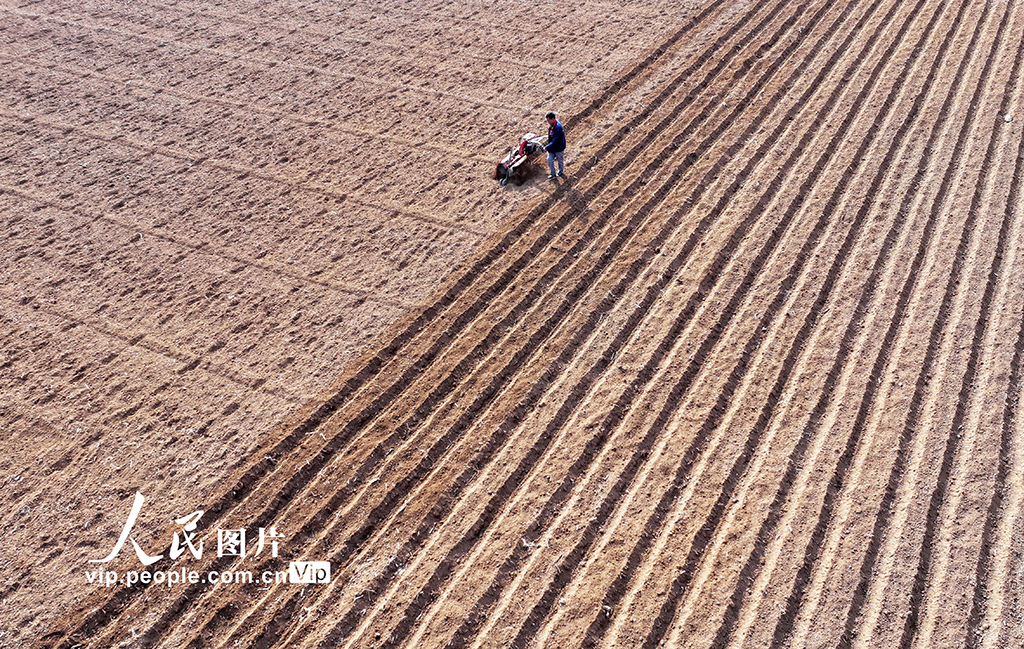 山东枣庄：人勤春来早【3】