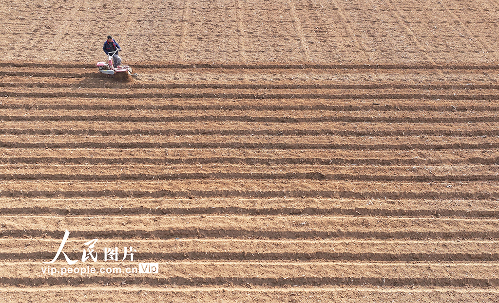 山东枣庄：人勤春来早【5】