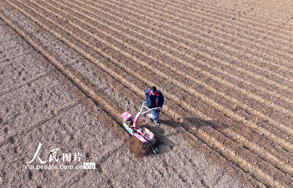 山东枣庄：人勤春来早【2】