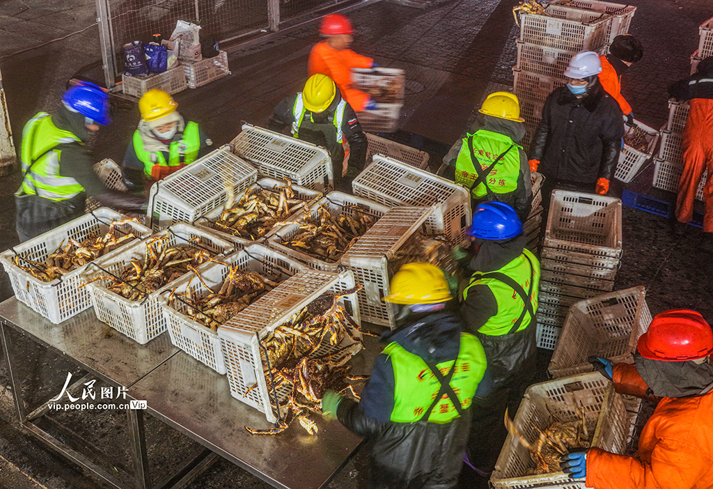 山东荣成:帝王蟹抢“鲜”通关 供应春节市场【4】