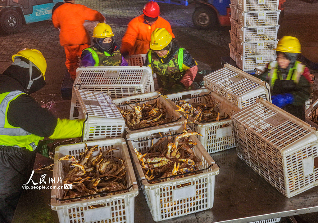山东荣成:帝王蟹抢“鲜”通关 供应春节市场【5】