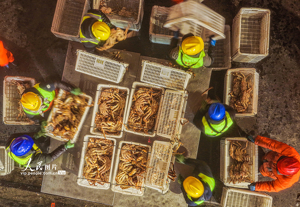 山东荣成:帝王蟹抢“鲜”通关 供应春节市场【6】