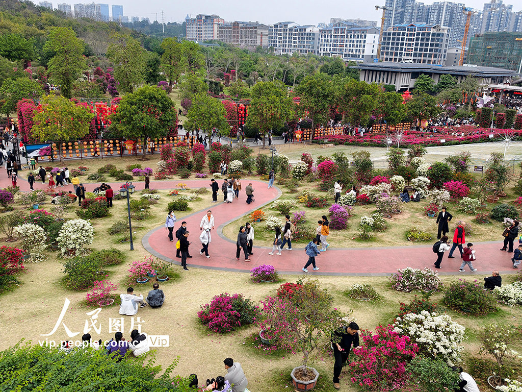 广西南宁: 赏花踏青享春光【4】