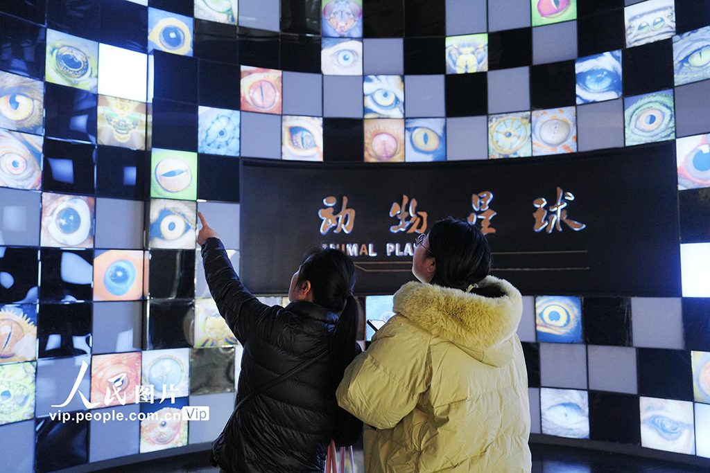 重庆:博物馆里度假期【2】