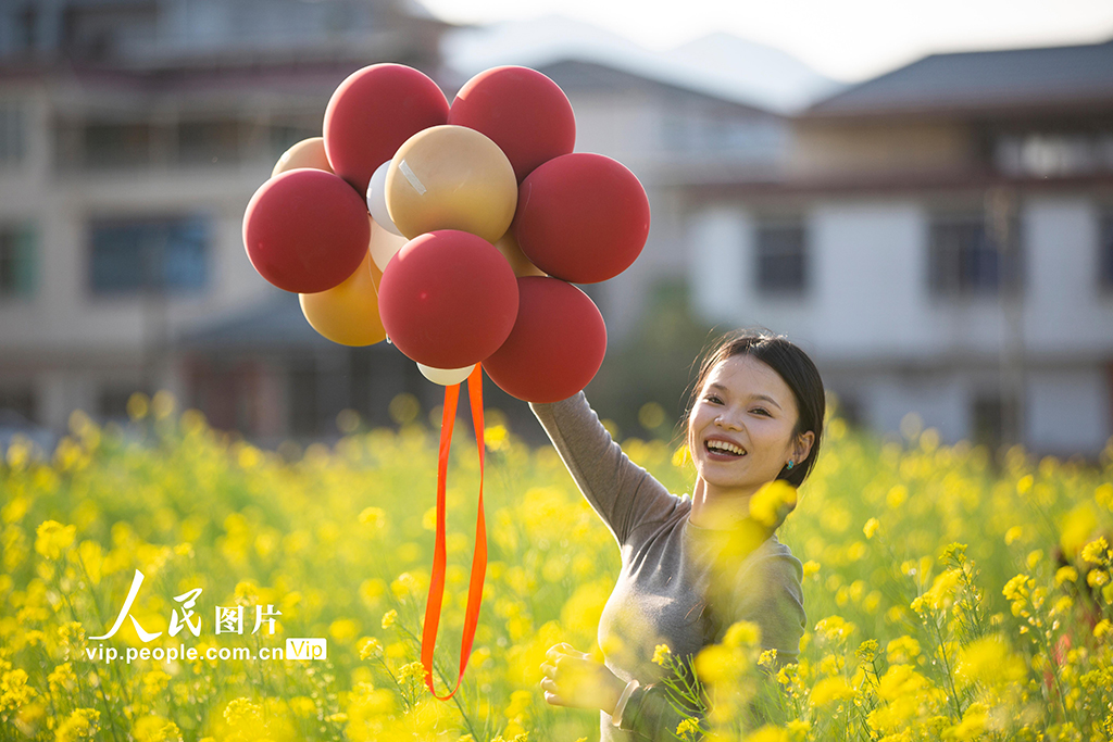 广东平远:油菜花开【3】