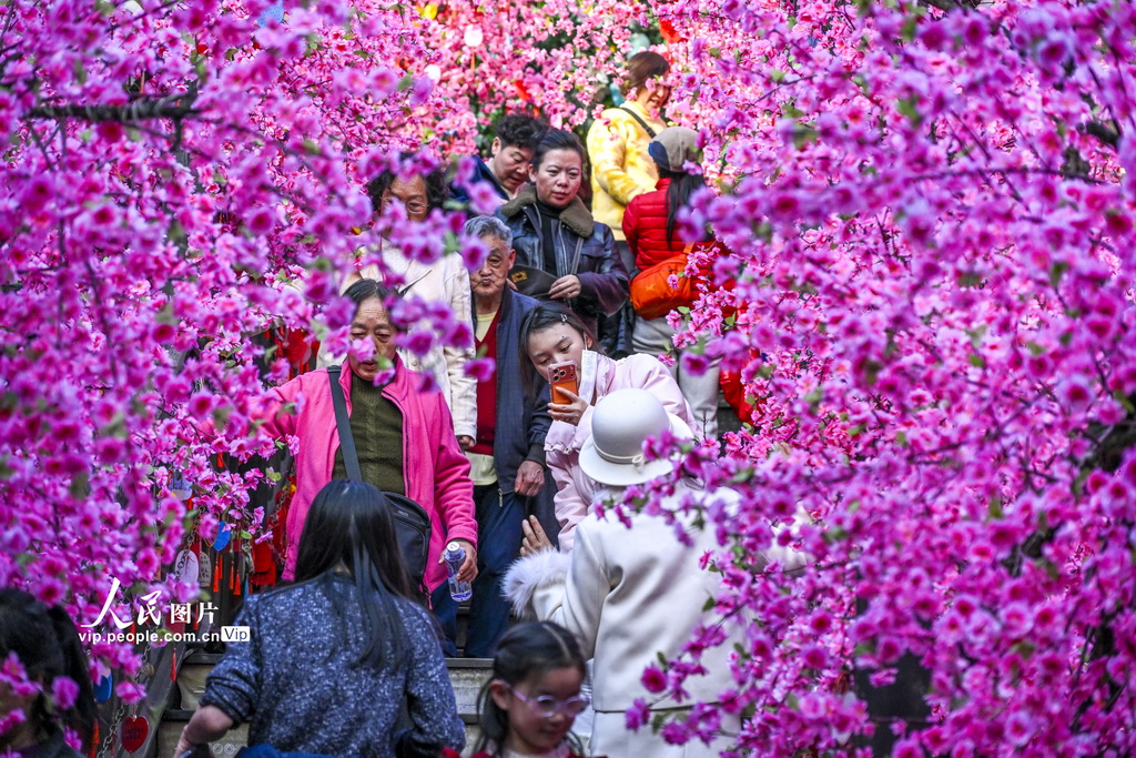 四川成都：年味浓 人如潮【3】