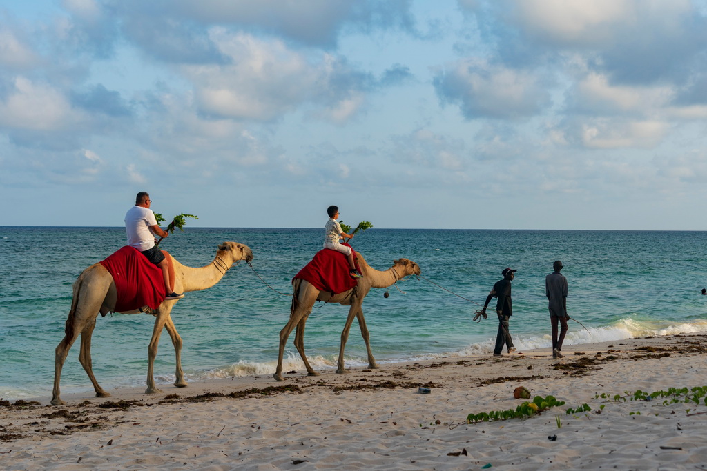 2月18日，人们在肯尼亚蒙巴萨的印度洋海滨骑骆驼。