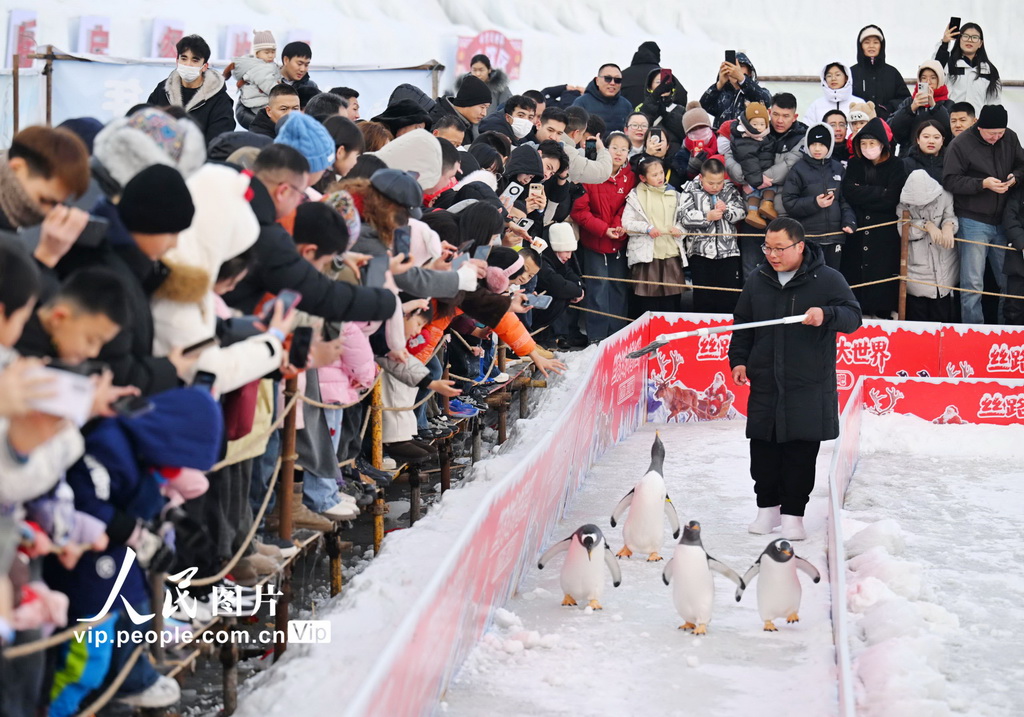 新疆昌吉：冰雪乐园【3】