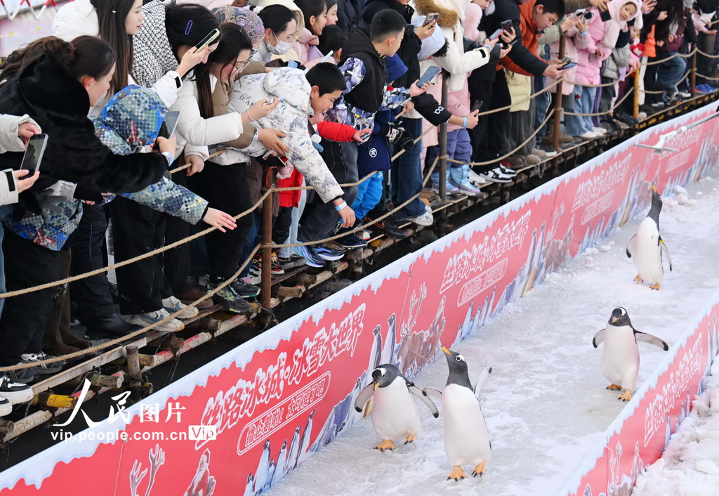 新疆昌吉：冰雪乐园【4】