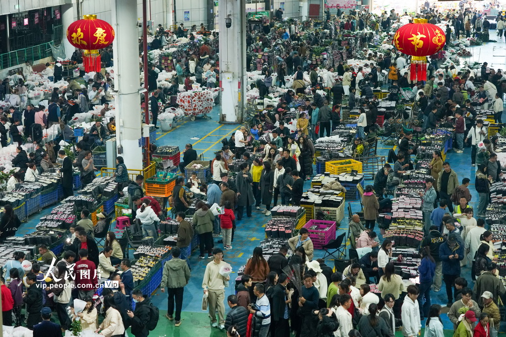 云南昆明：斗南花卉市场人气旺【4】
