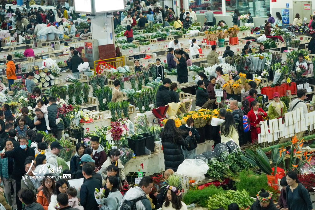 云南昆明：斗南花卉市场人气旺【5】