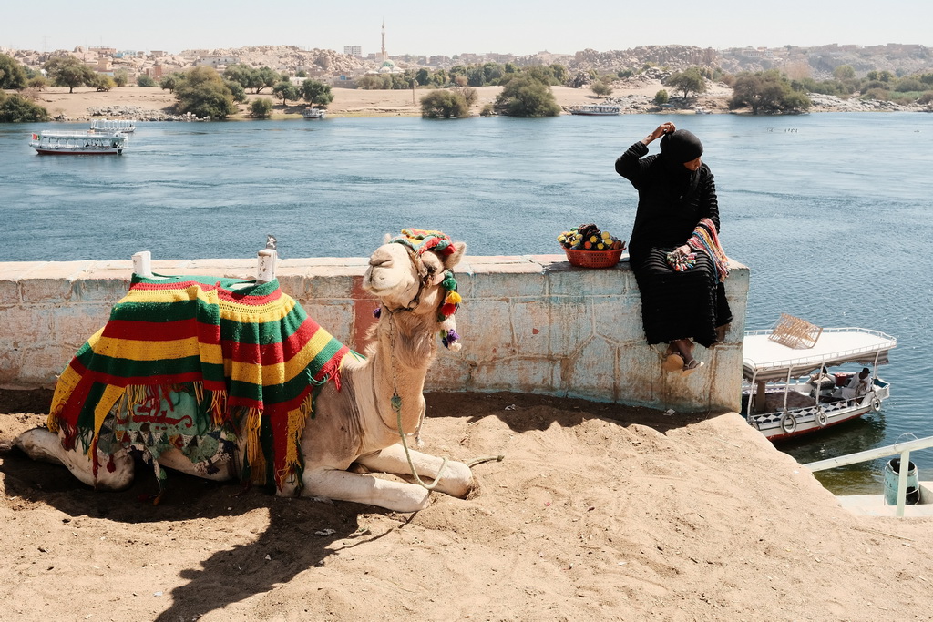 这是2月20日拍摄的埃及南部阿斯旺省努比亚村庄一景。