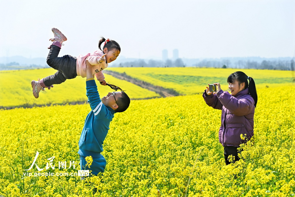 江西樟树：踏青赏花正当时【4】