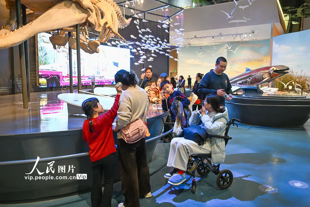 江苏盐城：湿地博物馆观展【2】