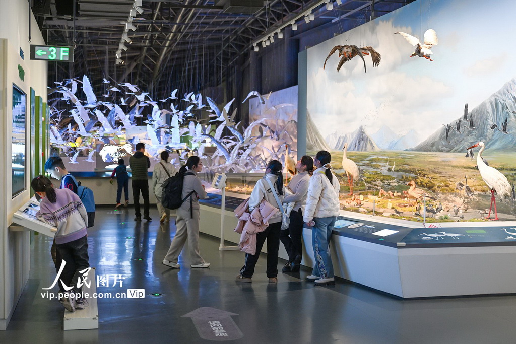 江苏盐城:湿地博物馆观展【3】