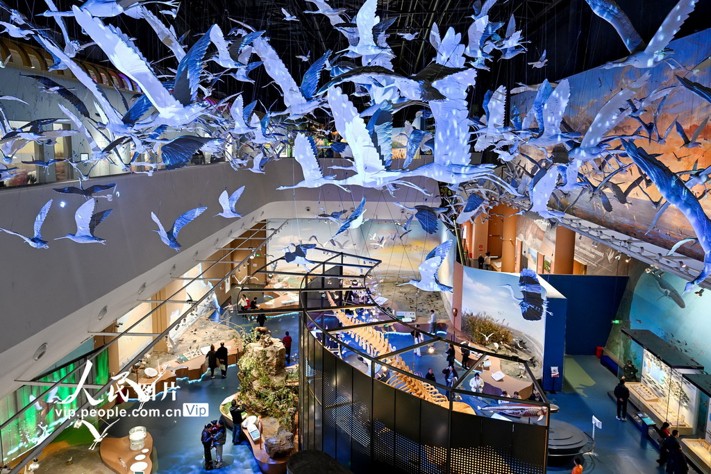 江苏盐城:湿地博物馆观展【4】