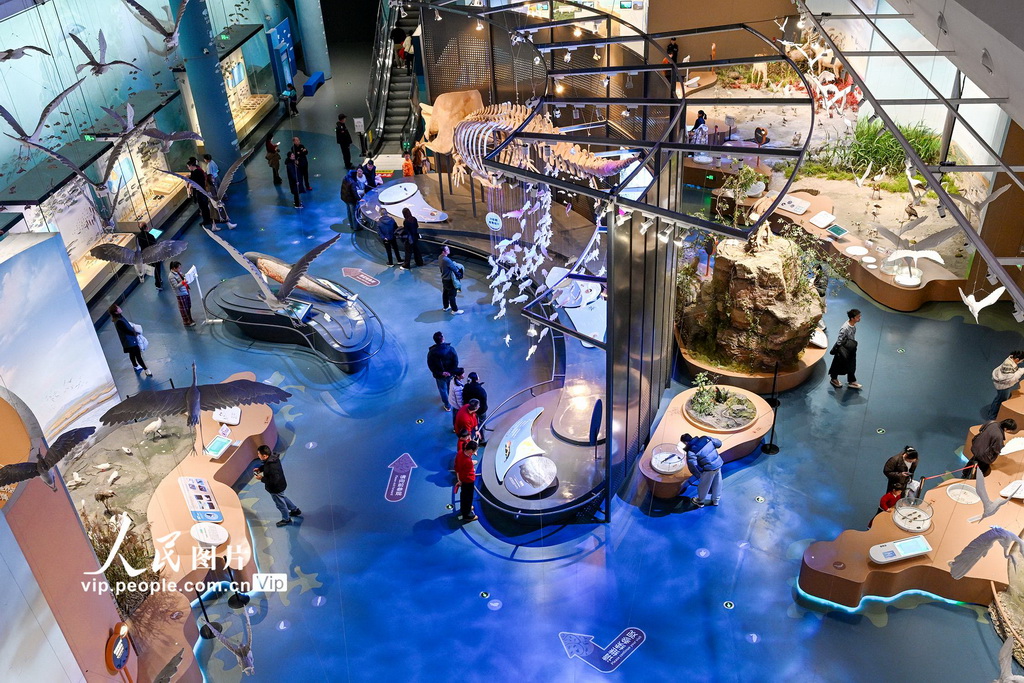 江苏盐城：湿地博物馆观展【5】