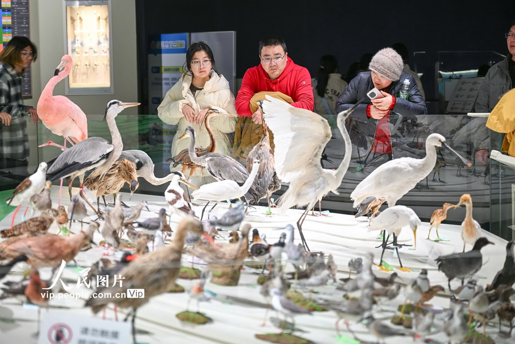江苏盐城：湿地博物馆观展【6】