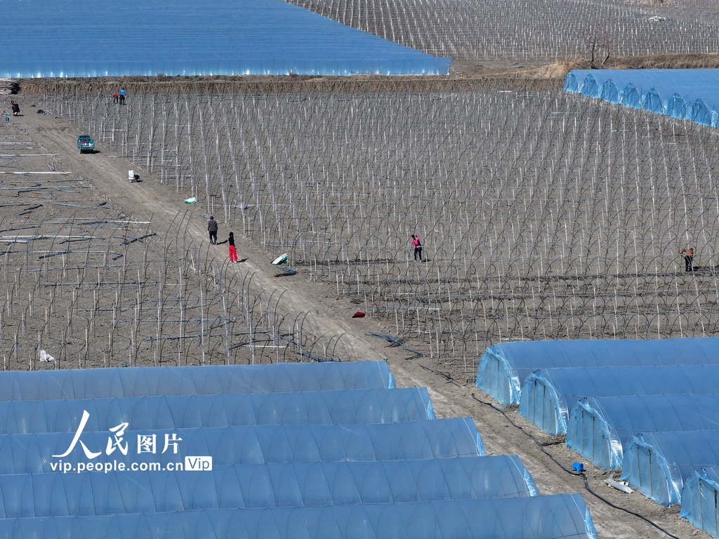 安徽蒙城:春回大地农事正忙【2】