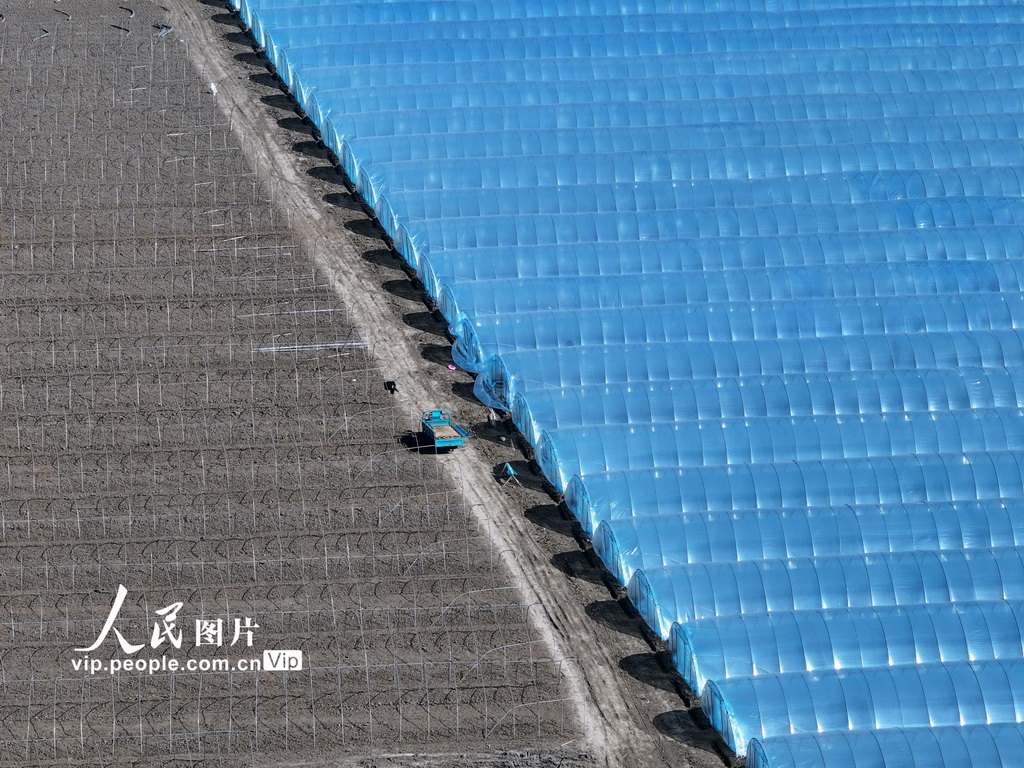 安徽蒙城：春回大地农事正忙【3】