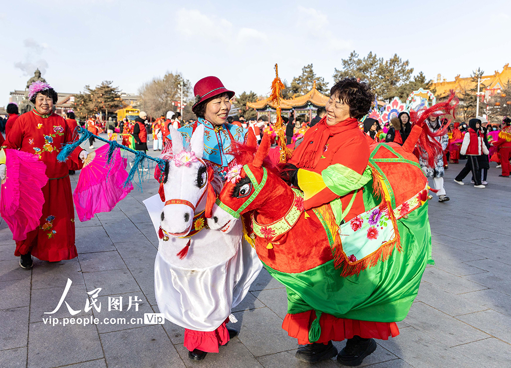 内蒙古呼和浩特：文化庙会贺新春【5】