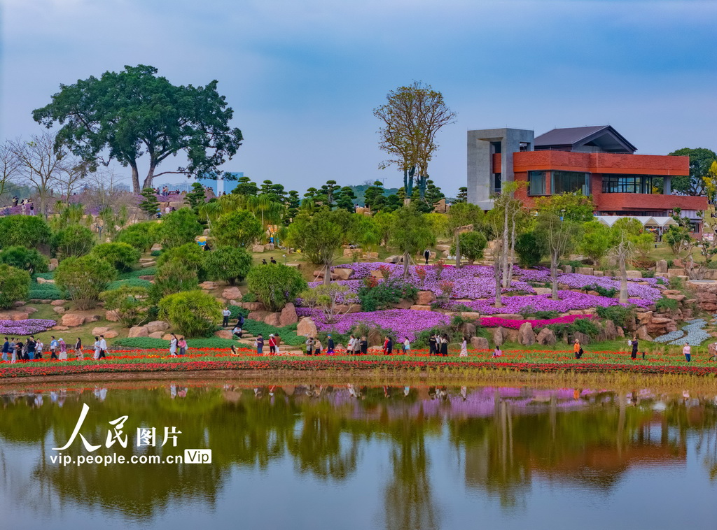 广西南宁:踏青赏花 乐享假日【2】