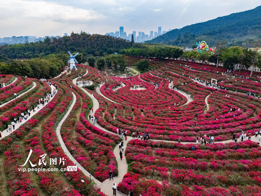 广西南宁：踏青赏花 乐享假日【4】