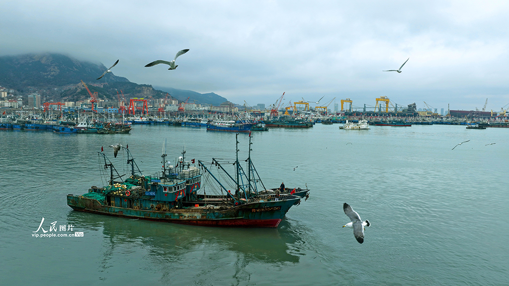 山东荣成：出海作业【2】