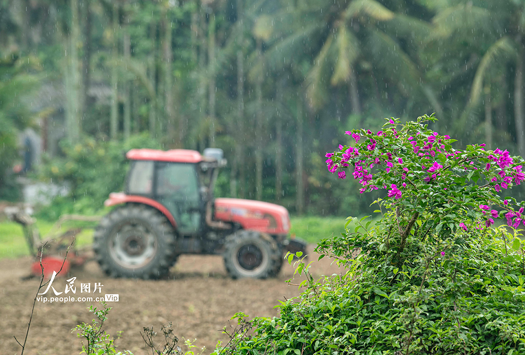 海南琼海：好雨知时节 春雨伴春耕【4】