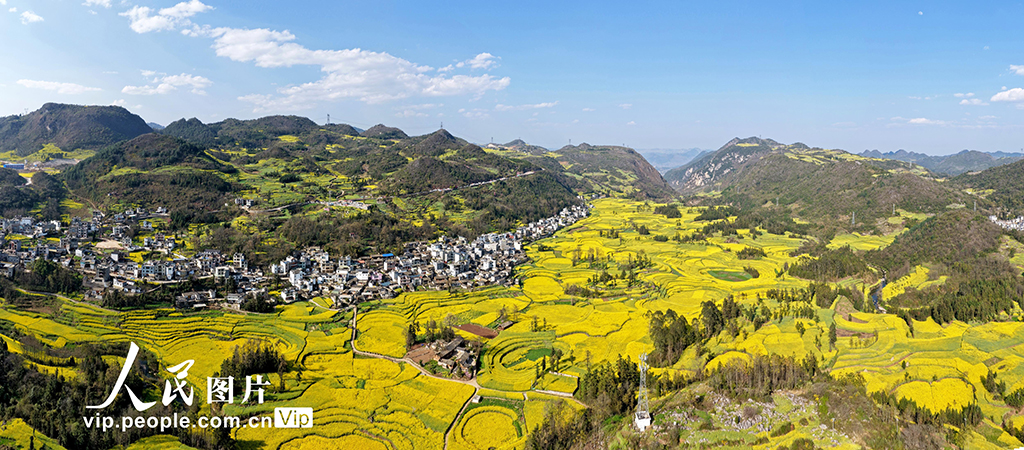 云南罗平：春到螺丝田【5】