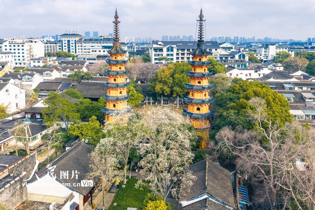 江苏苏州：玉兰花开映双塔【4】