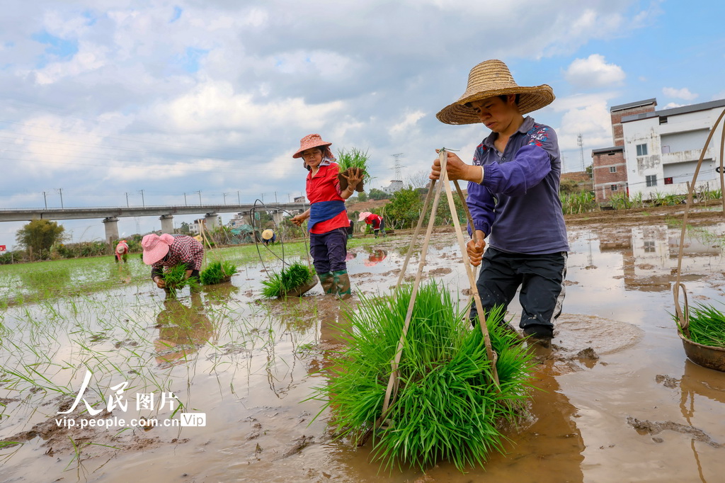 广西梧州：春耕正当时【4】