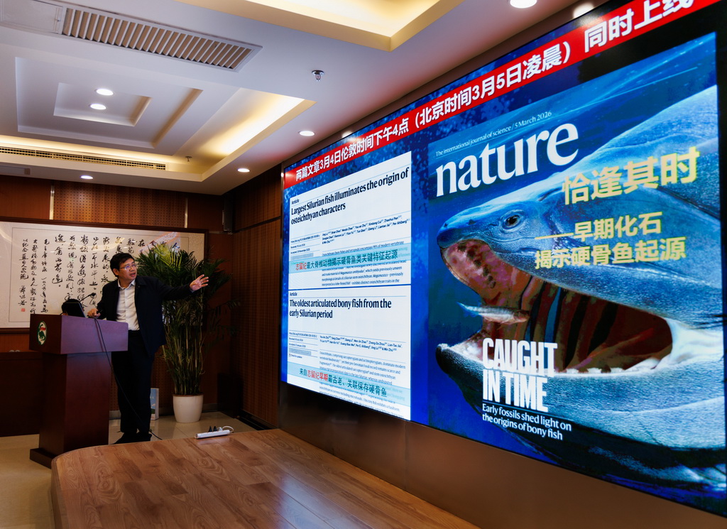 3月3日，在中国科学院古脊椎动物与古人类研究所举行的新闻发布会上，朱敏院士介绍研究成果。