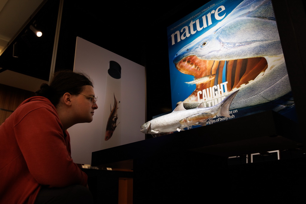 3月3日,在中国科学院古脊椎动物与古人类研究所举行的新闻发布会上,一名外国学生在观察复原模型。