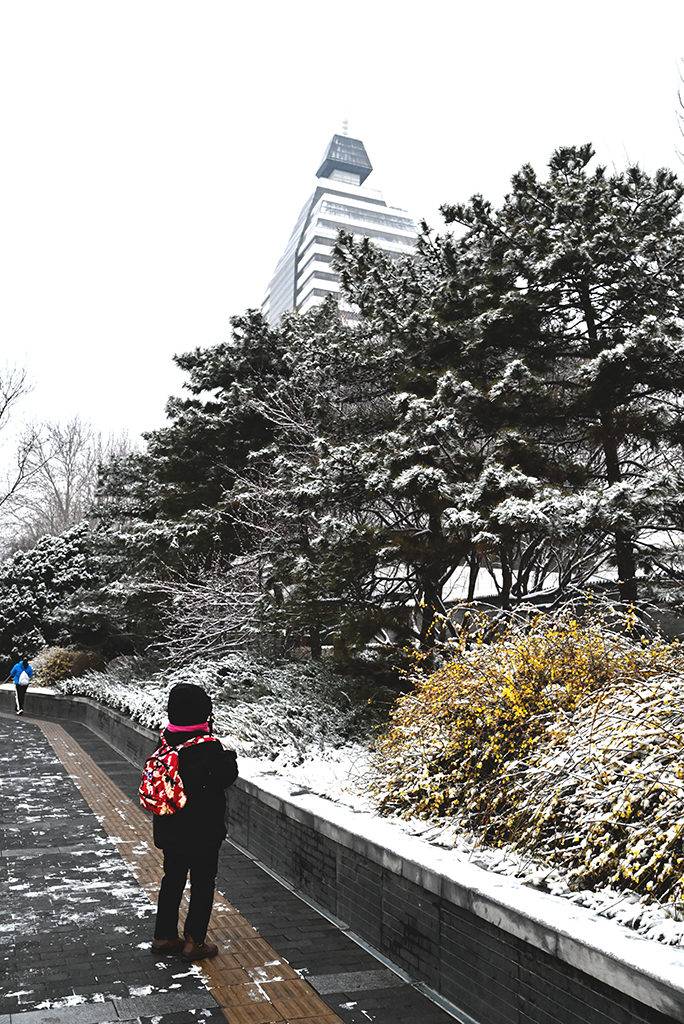3月5日，行人在北京宣武门西大街路边拍摄雪景。新华社记者 陈晔华 摄