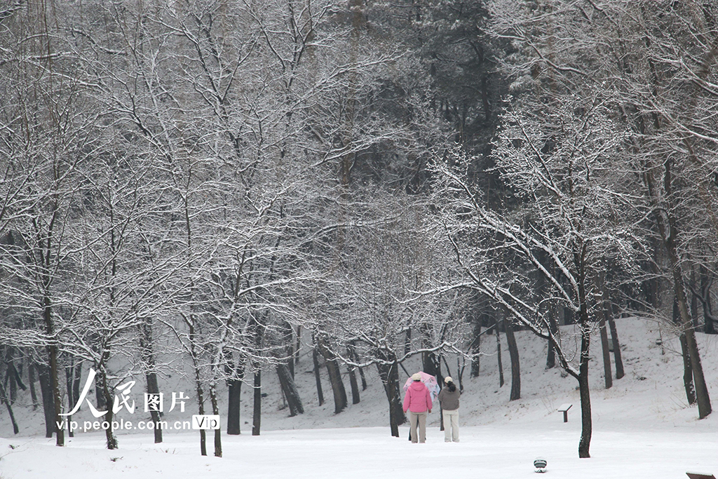 河北承德:雪落避暑山庄【4】