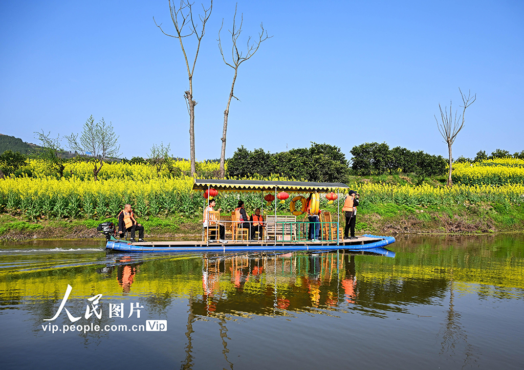 四川蓬安:油菜花开引客来【7】
