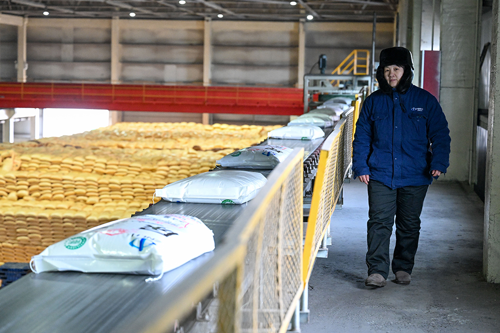 在位于新疆昌吉回族自治州玛纳斯县的新疆中能万源化工有限公司，工作人员在包装车间巡检（3月5日摄）。