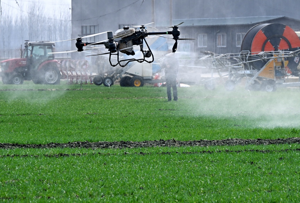 3月6日，在青岛市即墨区蓝村街道壮武村，植保无人机进行喷防演示。