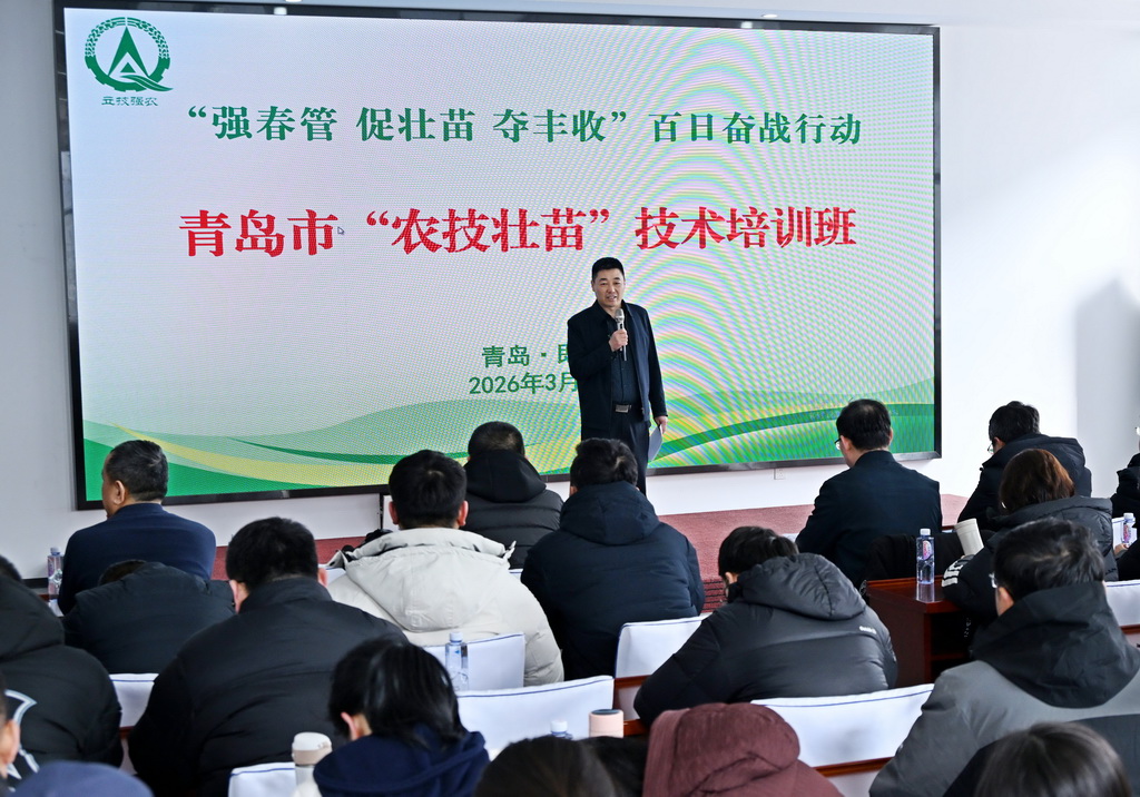 3月6日,在青岛市即墨区蓝村街道,人们在“农技壮苗”技术培训班上学习。