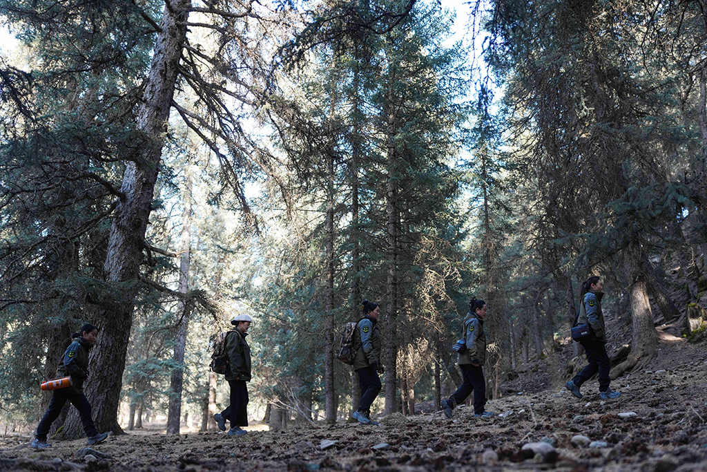 3月6日,祁连山国家公园(候选区)青海片区青阳沟管护站女子管护员在巡护祁连山。