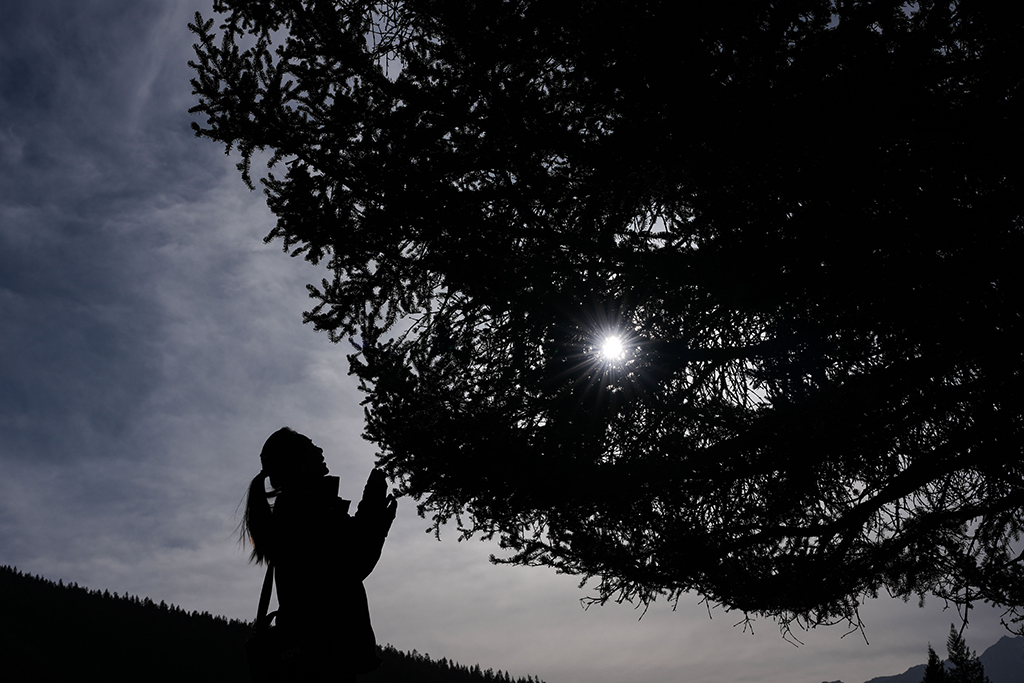 3月6日,祁连山国家公园(候选区)青海片区青阳沟管护站女子管护员张丽萍在查看林木生长情况。