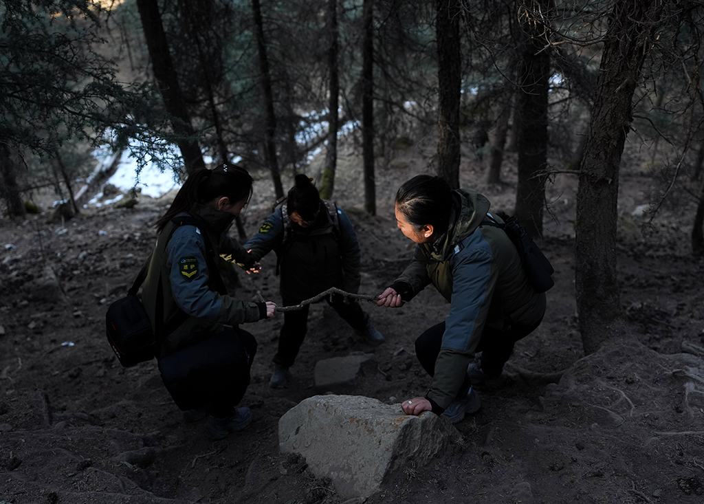 3月6日,祁连山国家公园(候选区)青海片区青阳沟管护站女子管护员在下山途中相互搀扶。