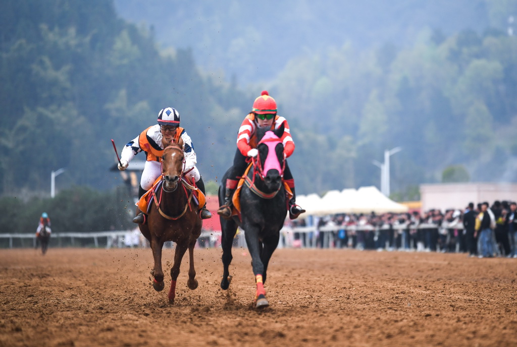 3月7日，选手在贵州省三都水族自治县参加“村马”比赛。