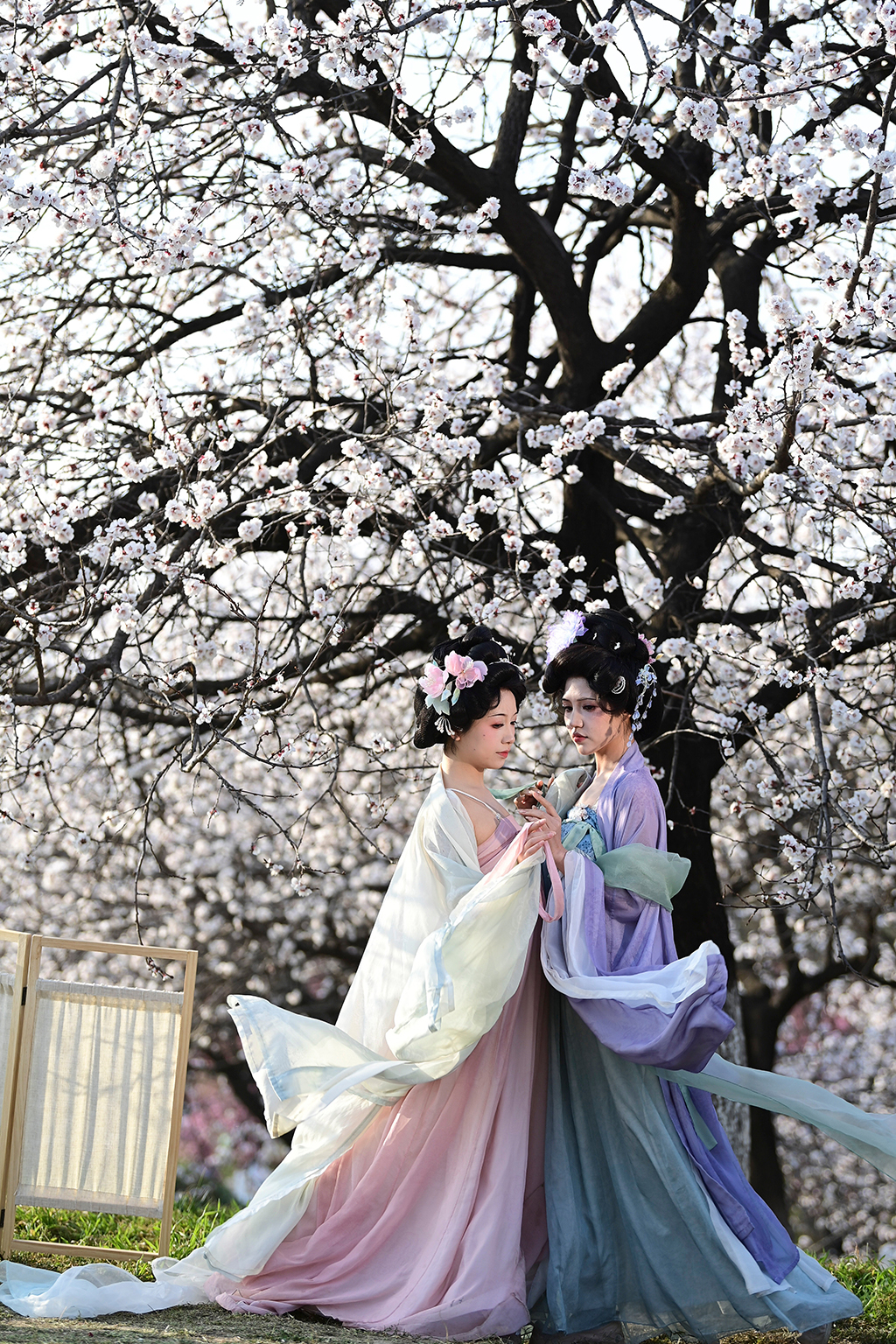 3月9日，游人在西安大明宫国家遗址公园赏花留影。