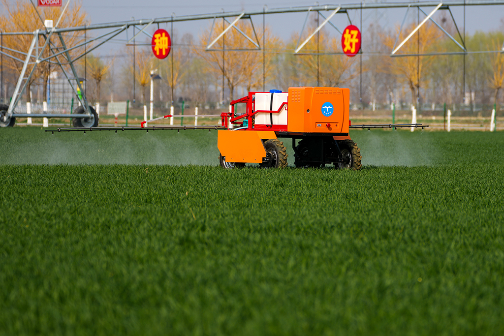 3月9日，喷药机器人在田间喷洒农药。
